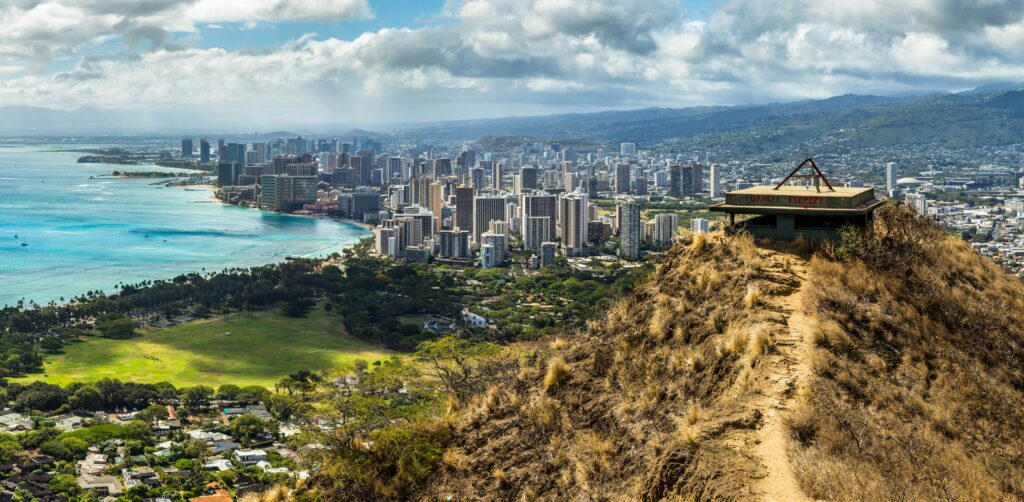 Budget Tree and Stump Removal in Honolulu guide to affordable tree removal, stump grinding, landscape improvement, service costs, and safety practices.