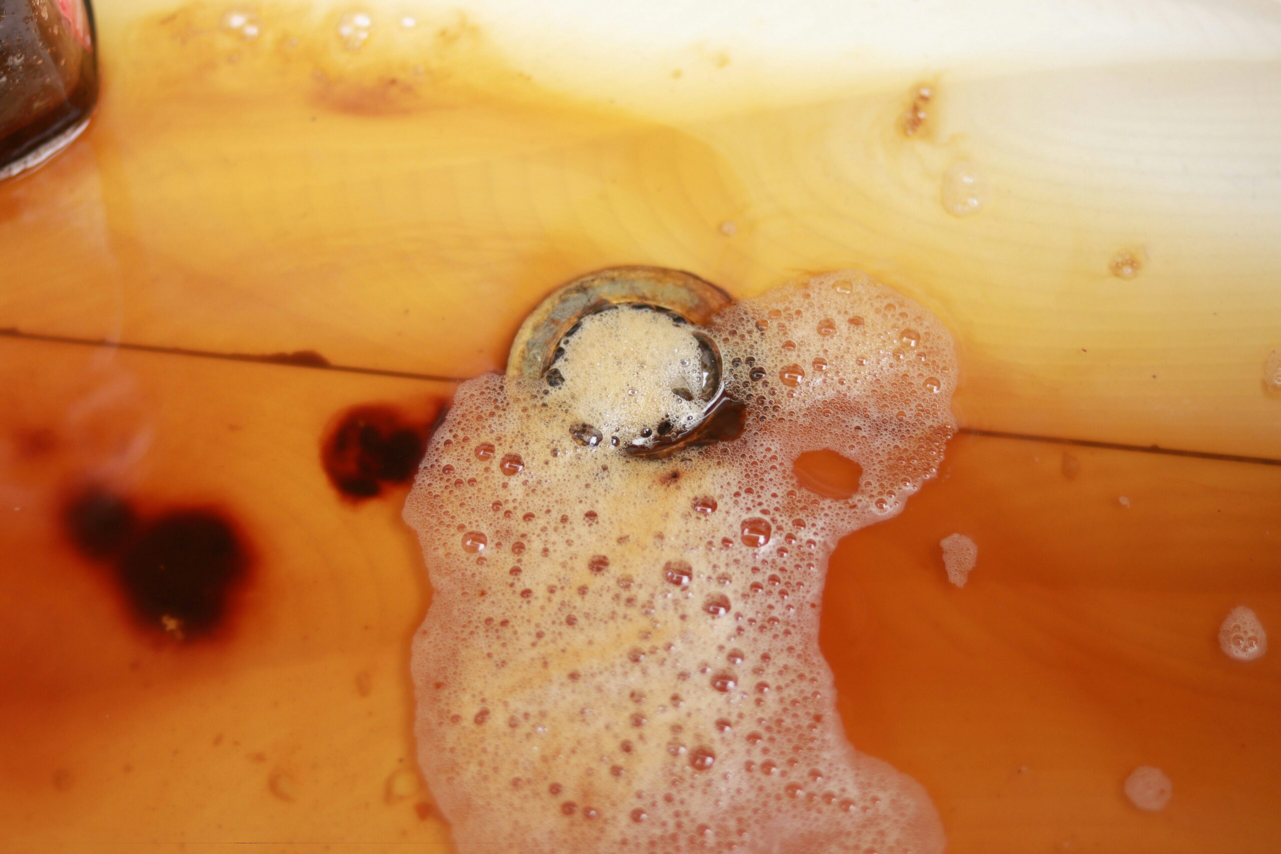 How to Get Rid of Fruit Flies in Drain: A Complete Guide to Eliminating and Preventing Drain Infestations