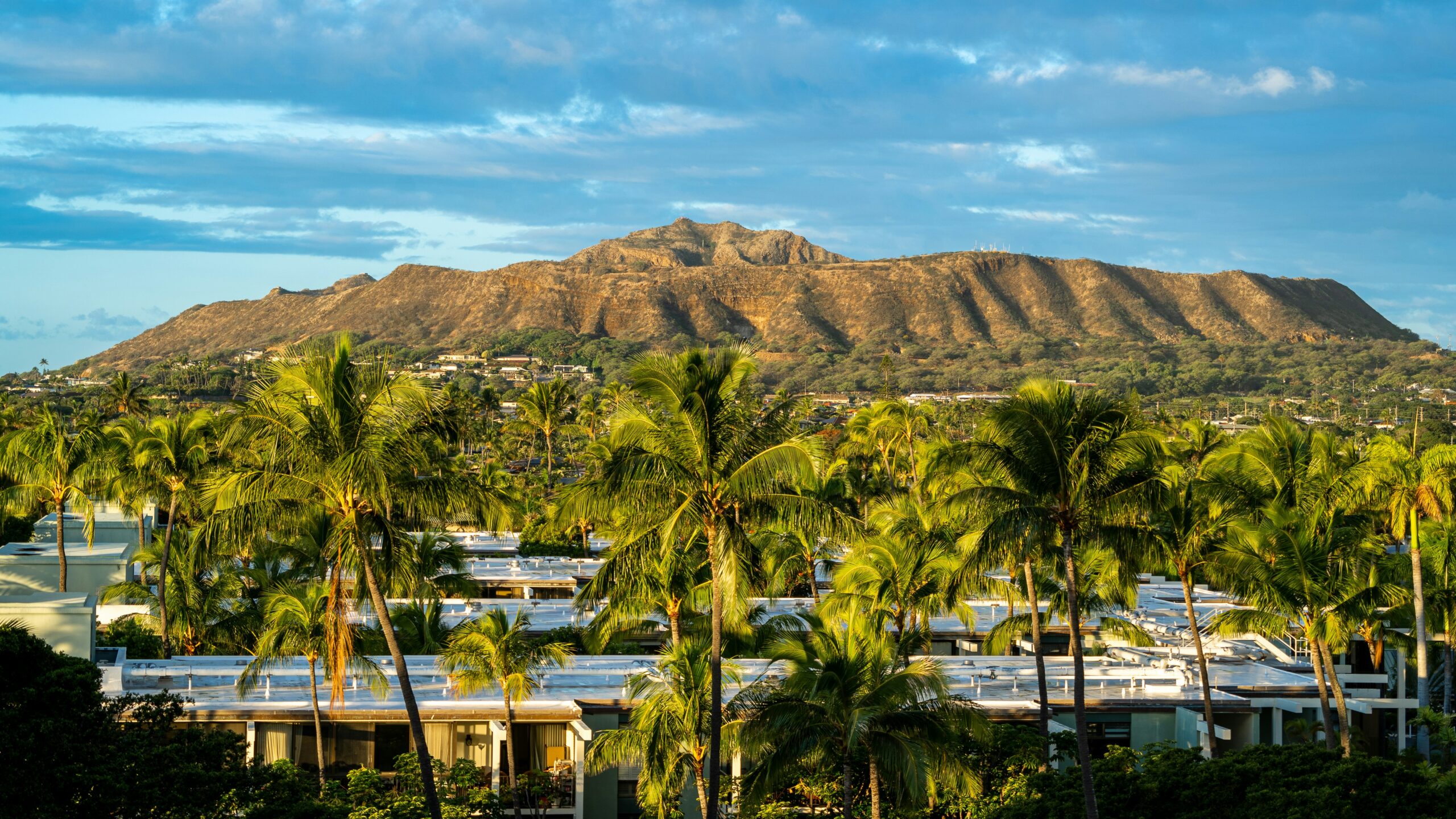 Budget Tree and Stump Removal in Honolulu featuring affordable tree removal, stump grinding, pricing, property safety, and cleanup services.