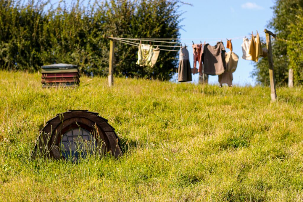 How to Get Grass Stains Out of Clothes guide to detergent treatments, vinegar solutions, soaking, stain removers, washing, and fabric protection.