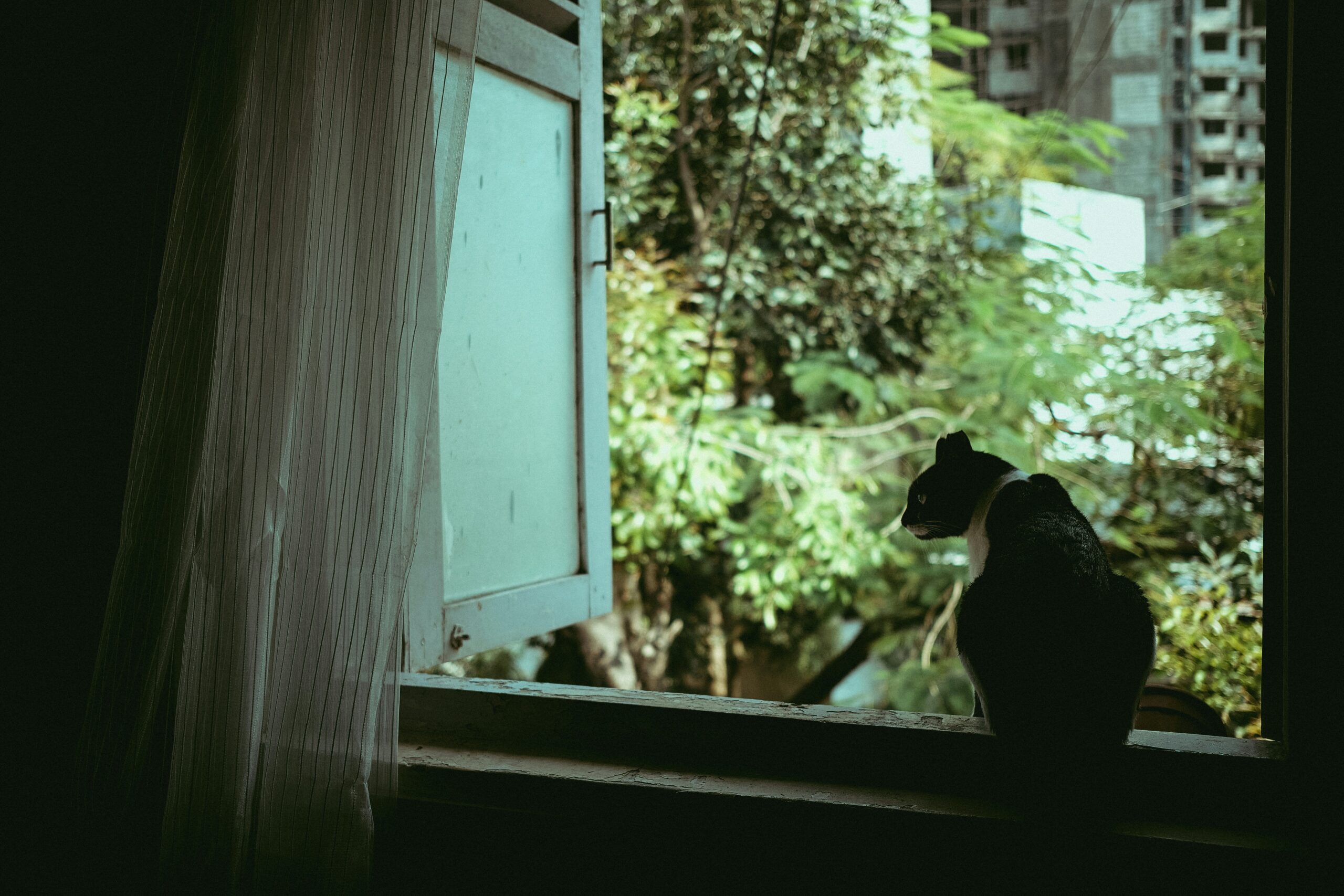 Why Does My House Smell Like Skunk at Night? featuring skunk odors, sewer gases, plumbing issues, gas leaks, ventilation, HVAC problems, and odor solutions.