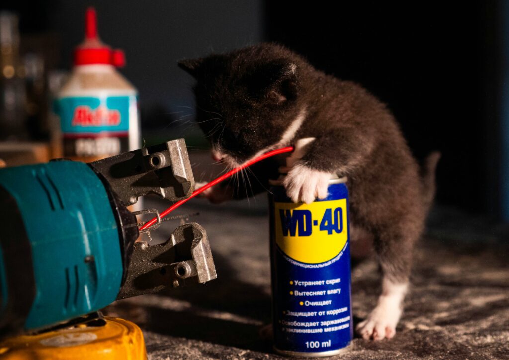 How to get motor oil out of clothes using easy cleaning techniques
